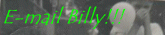Email Billy