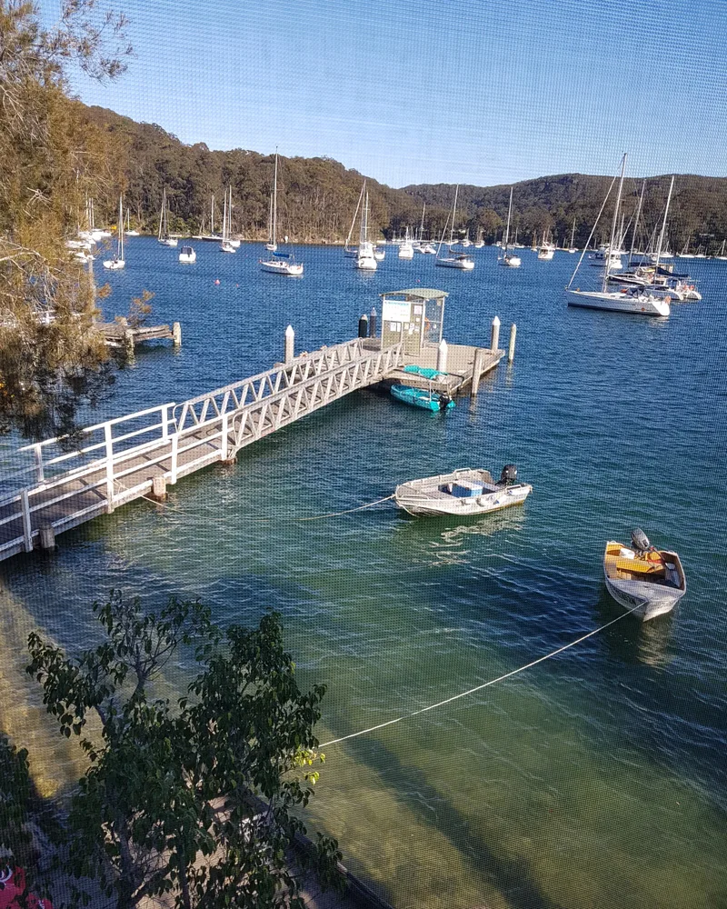 Pasadena morning — Sydney 2018