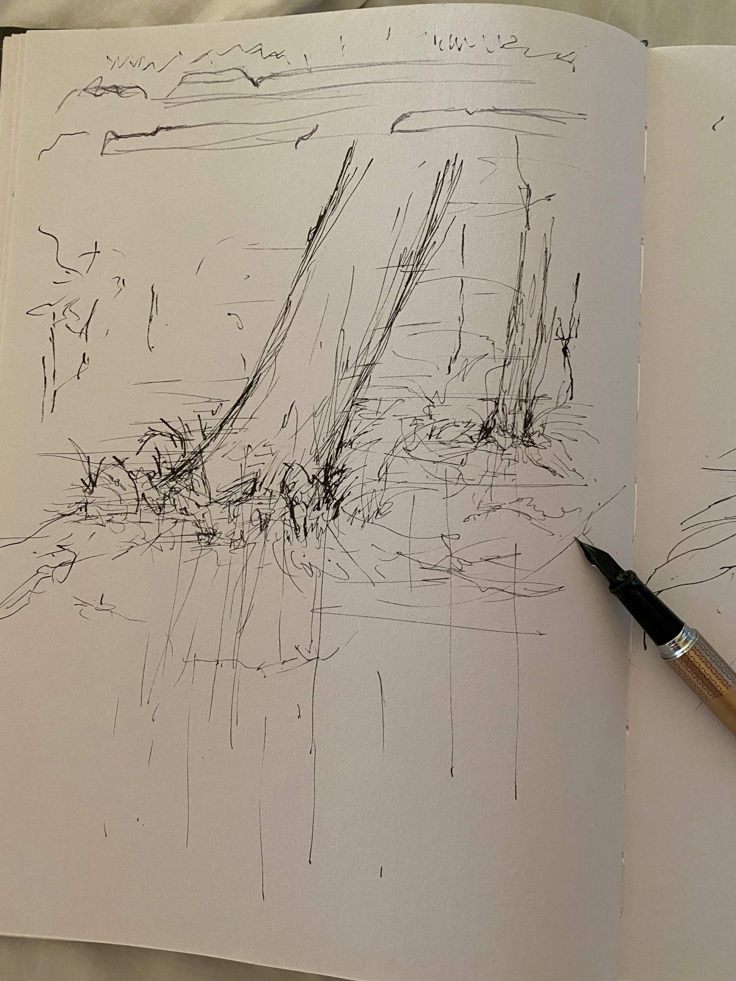 First sketch of sentient trees — Billy Shannon, Vipassana, 2022