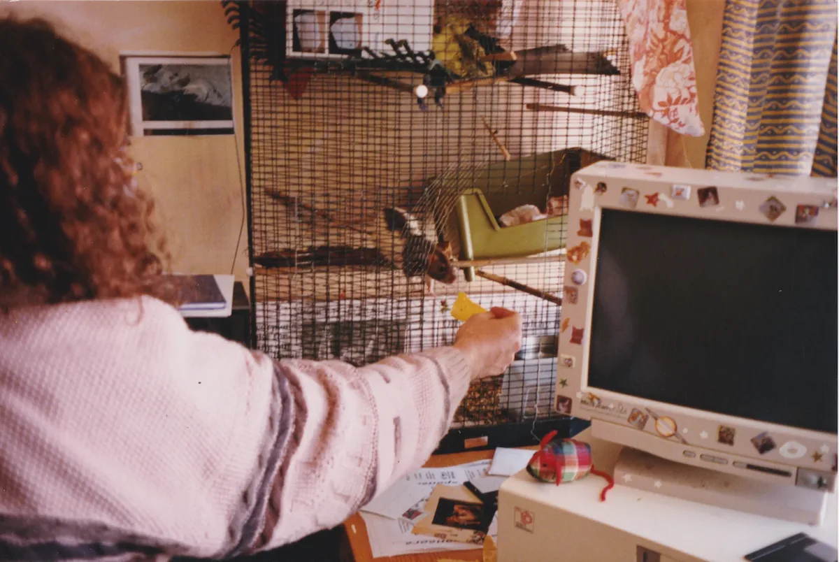 Studio computers